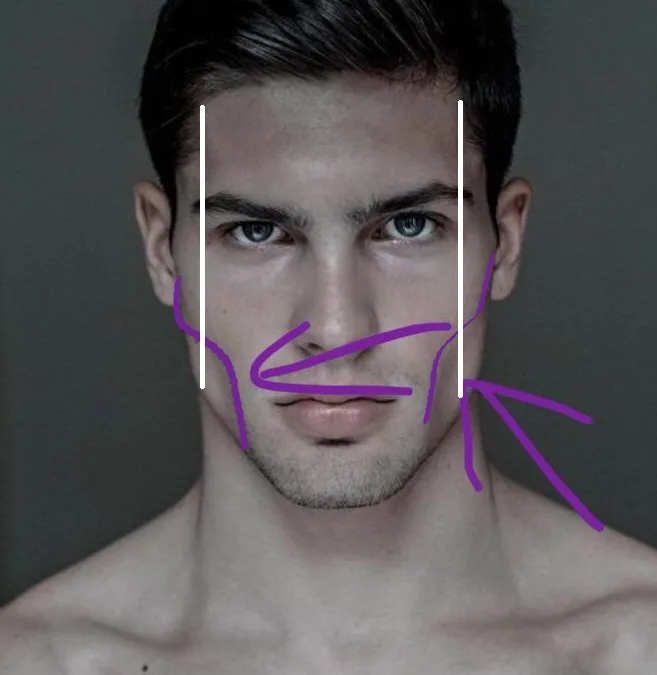 Ogee Curve in Facial Aesthetics