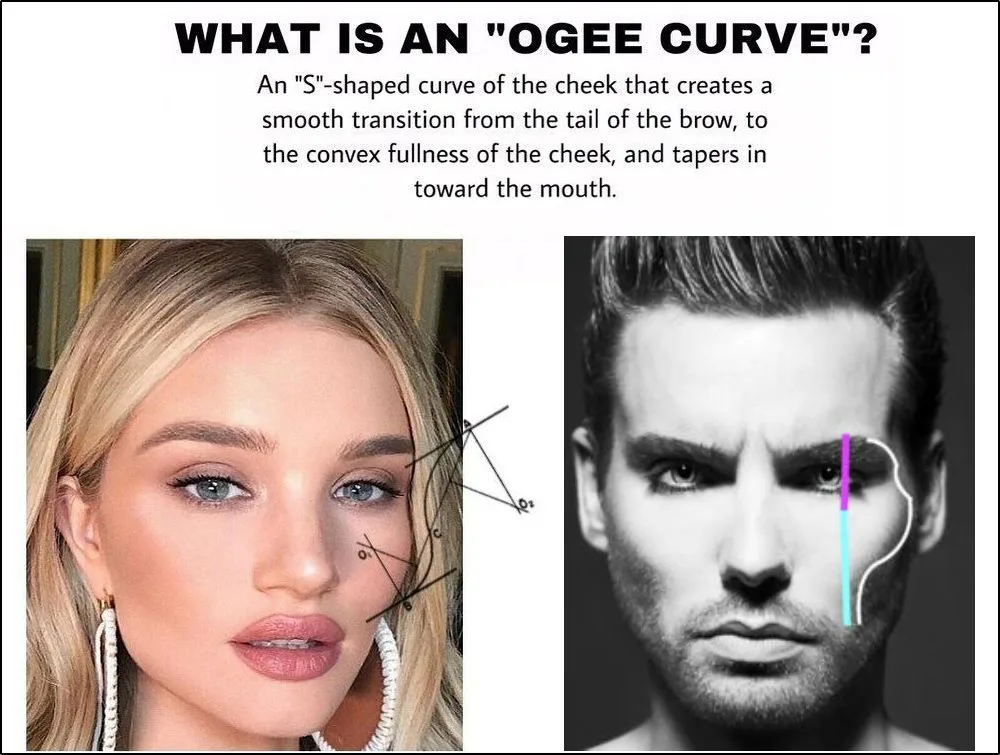 what is an ogee curve